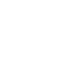 icons8-lightning-bolt-100 (1)